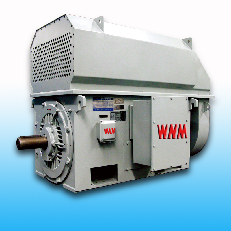 Y、YKS、YKK系列中型电机（6KV/10KV）